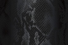 Luxury Black Metal Gradient Background With Distressed Crocodile, Snake, Alligator Skin Leather Texture.