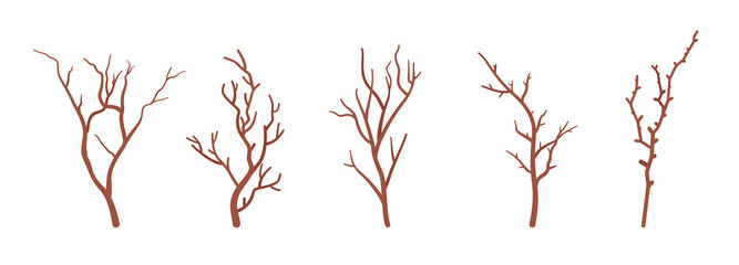 Dry tree brown branches set, natural dried decorative sticks. Organic atmosphere, old floral home decor, eco office decoration, party holiday botanical ornament. Vector flat style cartoon illustration