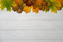 White Wood Background With Yellow Maple Leaves On Top. Autumn Background With Empty Space.