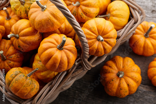 Fotomural Beautiful mini pumpkins in basket
