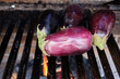 eggplant in a grill for a bbq asado
