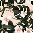 Philadendron orchid monstera plant floral background. Flower bloom interior decoration, seamless print. Vector textile rose wallpaper, vintage fabrics