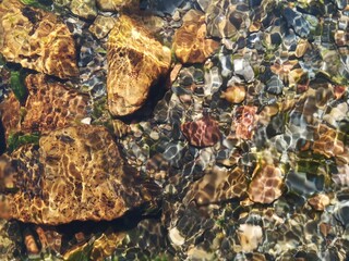  Río de montaña, agua muy clara, y piedras de fondo
