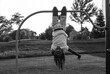 © Gabriel (Gabi) Bucataru/Stocksy - Black girl hanging upside-down on a playground