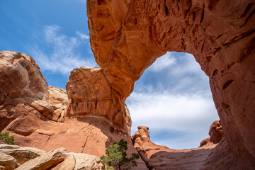 Poster - Arches National Park