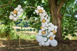 canvas print picture - modern wedding arch, inflatable balloons. inscription in gold chillout.