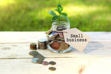 Small business. Glass jar with coins and a plant in it, with a label on the jar and a few coins on a wooden table, natural background. Finance and investment concept. 