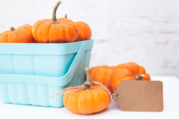 Wall Mural - autumn thanksgiving pumpkins with blank tag