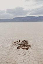 Cracked Dry Lake Bed