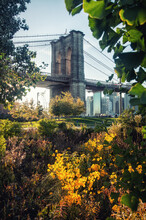 Majestic Scenery Of Brooklyn Bridge Over River In Front Of Park On Sunny Day In New York