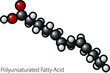 Molecule of polyunsaturated fatty acid.