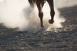 © Tana Teel Photography/Stocksy - A horse's hooves galloping in the dust