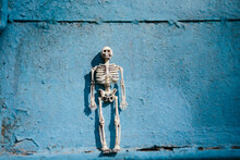 Spooky Skeleton On Blue Grunge Background