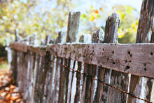 Rustic And Rickety Fall Fence With Rusty Barbed Wire