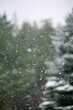 © ALICIA BOCK PHOTOGRAPHY/Stocksy - Abstract Pine Tree In A Winter Snow Storm
