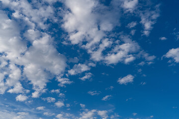 Wall Mural - blue sky with white clouds