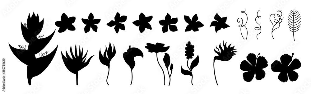 Exotic Flowers Silhouette Set Tropical Botanical Black Shape Floral Flat Plants Wild Flowers Collection Hawaiian Glyph Hand Drawn Jungle Plumeria Heliconia And Strelitzia Vector Illustration Wall Mural Neliakott