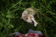 © Milles Studio/Stocksy - Dog and its owner