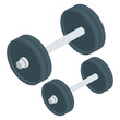 © Vectors Market - Isometric vector of dumbbells icon