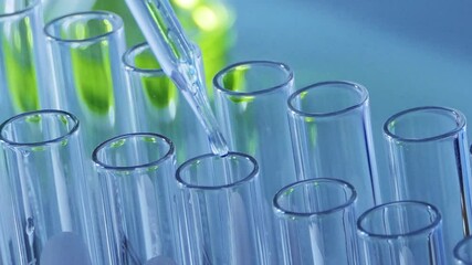 scientist dropping chemical liquid to test tube, blue tone laboratory. lab chemistry or science rese