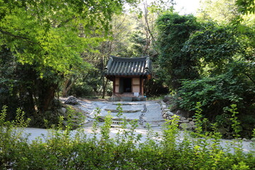 Wall Mural - japanese garden