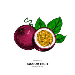 Vector passion fruit  hand drawn sketch. Vintage style