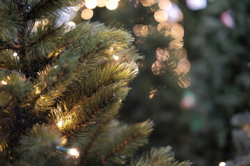 christmas tree and bokhe, blurred background, new year lights