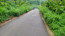 Hilly Road On The Way To Sajek Valley, Rangamati, Bangladesh