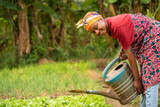 beautiful African lady with head scarf, plastic container-landscape image of Black woman in a greenfield with pretty smile-farming concept