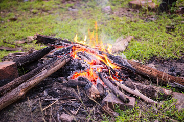 fire camping burning wood - bonfire forest