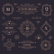 Luxury brand vintage labels and logotypes with ornaments