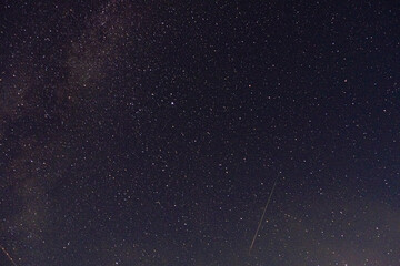 stars