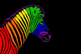 Fototapeta Konie - Zebra head LGBTQ community rainbow flag color striped pattern black background isolated closeup, LGBT pride symbol, lesbian, gay etc love sign, logo, greeting card, wallpaper, banner design copy space