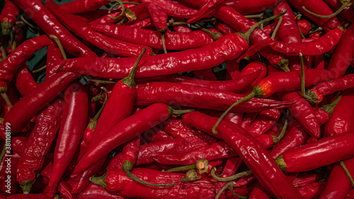 Fotomural Banner with background as traditional Autumn red spicy chili peppers (Capsicum annuum) sold in a supermarket, closeup, details