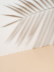 palm leaf shadow on white wall and cream pastel floor. abstract background of shadows palm leaf for 