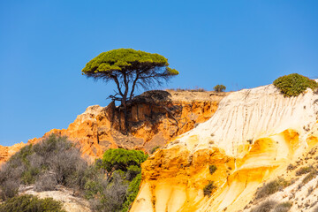 Sticker - Küstenlandschaft von Algarve