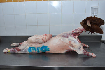 whole goat meat with goat head decorated on table