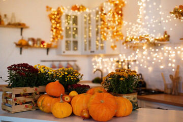 Autumn kitchen interior. Red and yellow leaves and flowers in the vase and pumpkin on light background