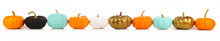 Colorful Autumn Pumpkins In A Row Isolated On A White Background