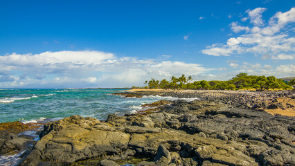 Poster - Beautiful palms on the shore. Large boulder among the waves in the sea. Hawaii