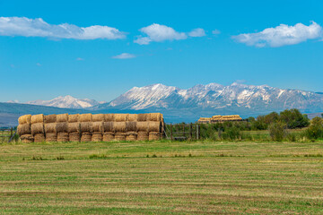 Wall Mural - bales of hay