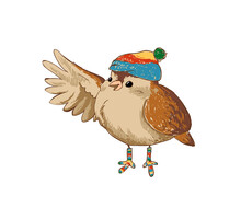 Vector Children's Illustration. Sparrow In A Hat And Socks