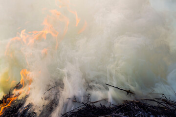 Smoke and bright flames of the fire, thick yellow smoke of smoldering hay.