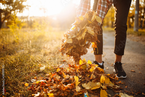 Close up of man\'s hands collecting a pile of yellow and red old fallen leaves near the park alley. Male volunteer picks up a stack of leaves wearing working gloves. Communal cleaning services concept