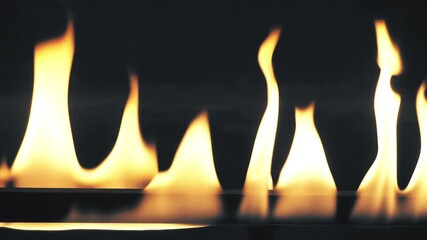 Wall Mural - Fire line in slow motion on black