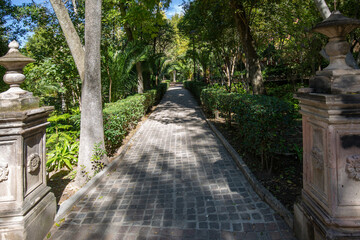 Wall Mural - San Miguel de Allende, Benito Huarez park in Zona Centro in historic city center