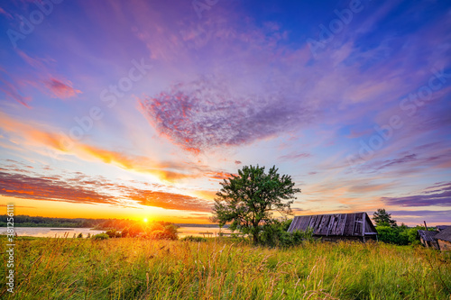 Fotomural Old wooden hut and lonely tree at sunset in countryside at spring