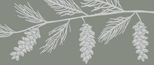 Pine Branches And Cones Background. Winter And Autumn Hand Draw Wall Art. Luxury Wallpaper Design For Winter And Holiday Season, Christmas Tree, Fabric And Print. Vector Illustration.