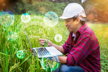 agricultural engineering innovation modern technology asian man hardhat farmer using computer laptop