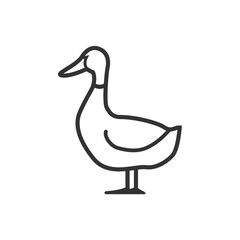 Sticker - duck